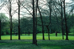 Tiergarten