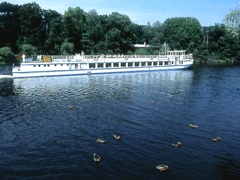 Havel