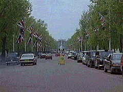 The Mall