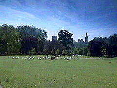 St James's Park