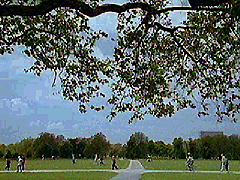 Hyde Park