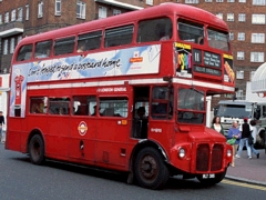 King's Road