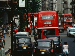 Piccadilly Street