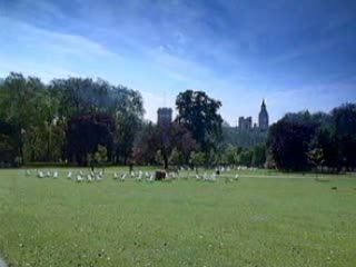 St James's Park