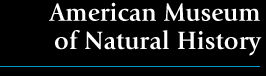 American Museum of Natural History