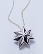The Caring Star
