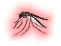 mosquito