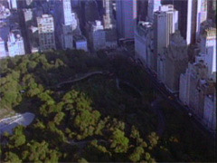 Central PARK