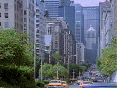 PARK Avenue
