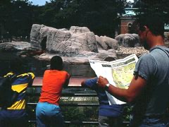 Bronx ZOO