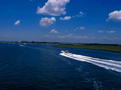 LONG Island