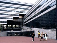 NYU & City College