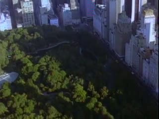 Central PARK